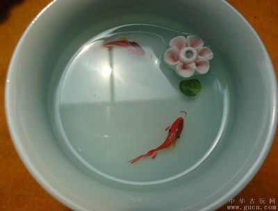 觀賞魚(yú)拍賣(mài)100萬(wàn)的魚(yú)（全球最昂貴的觀賞魚(yú)拍賣(mài)背后的故事觀賞魚(yú)拍賣(mài)背后的故事） 觀賞魚(yú)拍賣(mài)100萬(wàn)的魚(yú)（全球最昂貴的觀賞魚(yú)拍賣(mài)背后的故事觀賞魚(yú)拍賣(mài)背后的故事） 愛(ài)龍仕 第4張