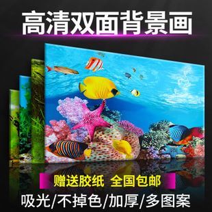 60的魚缸能養幾條金魚：60厘米的魚缸能養幾條金魚