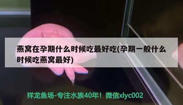 上?；厥蒸~缸電話地址及電話 上海二手魚缸交易市場