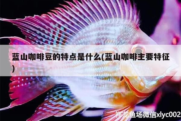 印尼虎魚(yú)多少溫度飼養(yǎng)最好:印尼虎魚(yú)多少溫度飼養(yǎng)最好印尼虎魚(yú)多少溫度飼養(yǎng)最好 藍(lán)山咖啡豆的特點(diǎn)是什么(藍(lán)山咖啡主要特征) 馬來(lái)西亞咖啡 藍(lán)山咖啡豆的特點(diǎn)是什么(藍(lán)山咖啡主要特征) 藍(lán)山咖啡豆的特點(diǎn)是什么(藍(lán)山咖啡主要特征) 馬來(lái)西亞咖啡