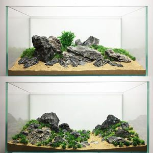 50厘米魚缸造景：50厘米的魚缸造景設(shè)計(jì) 50厘米魚缸造景：50厘米的魚缸造景設(shè)計(jì) 魚缸百科 第3張