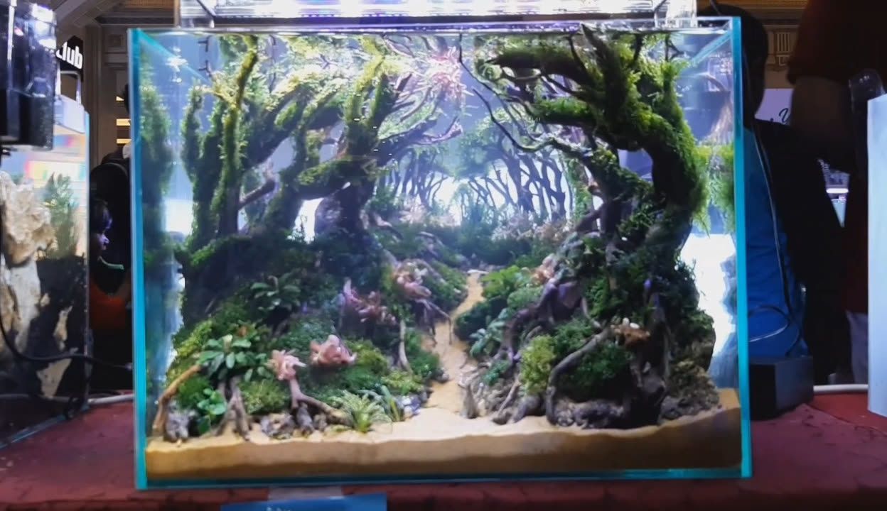50厘米魚缸造景：50厘米的魚缸造景設(shè)計(jì) 50厘米魚缸造景：50厘米的魚缸造景設(shè)計(jì) 魚缸百科 第4張