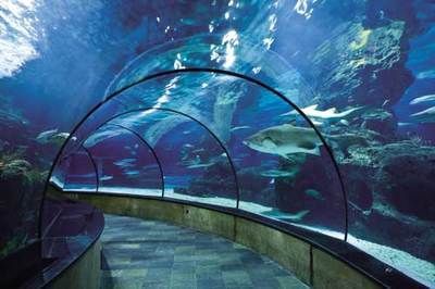 品牌水族館加盟排行：2018水族館加盟品牌排行榜