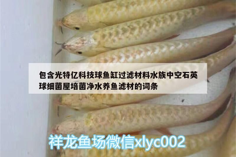 包含光特億科技球魚缸過濾材料水族中空石英球細菌屋培菌凈水養魚濾材的詞條 包含光特億科技球魚缸過濾材料水族中空石英球細菌屋培菌凈水養魚濾材的詞條 光特億