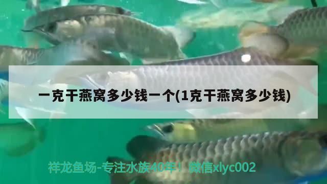 太康縣秀明銀城花卉店