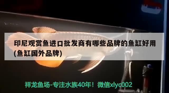 海納利爾魚缸安裝視頻大全 海納利爾魚缸價格表 海納利爾魚缸安裝視頻大全 海納利爾魚缸價格表 赤元素 第2張