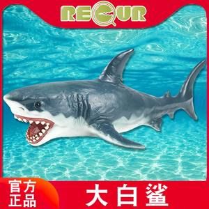 加了二十斤no1奈米球期待效果 錦鯉魚百科 第3張 加了二十斤no1奈米球期待效果 加了二十斤no1奈米球期待效果 錦鯉魚百科 第3張