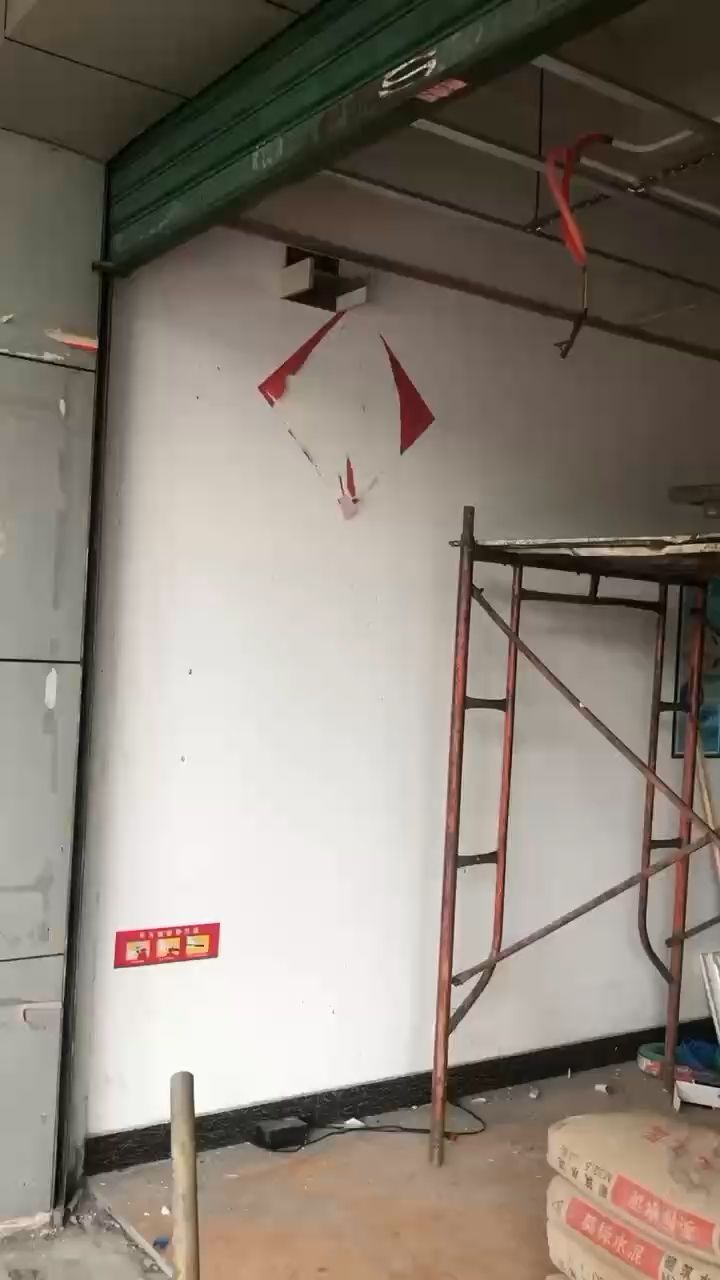 婁底觀賞魚市場天王紅龍(萬隆實業控股)