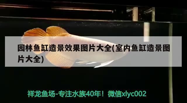 園林魚缸造景效果圖片大全(室內魚缸造景圖片大全)