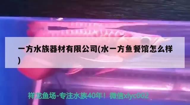 一方水族器材有限公司(水一方魚餐館怎么樣) 一方水族器材有限公司(水一方魚餐館怎么樣) 一方水族