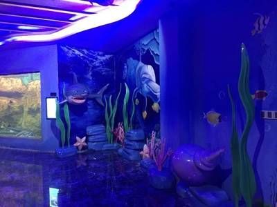 水族館設施（水族館的設施設計與建造） 水族館設施（水族館的設施設計與建造） 水族館百科（水族館加盟） 第5張