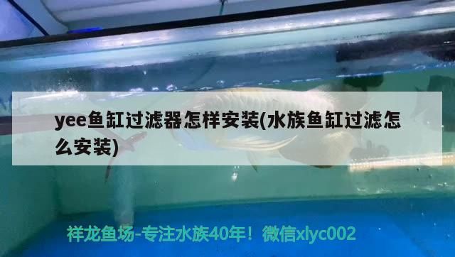 yee魚缸過濾器怎樣安裝(水族魚缸過濾怎么安裝) yee魚缸過濾器怎樣安裝(水族魚缸過濾怎么安裝) yee