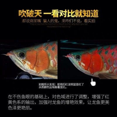 馬印烤色燈是什么意思：馬印烤色燈是一種專業(yè)的水族照明設(shè)備，馬印烤色燈是什么意思