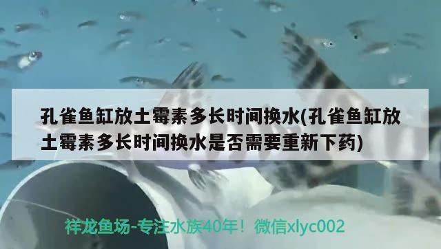 銅川新區哪里有賣魚缸的店子呢 銅川新區哪里有賣魚缸的店子呢多少錢 銅川新區哪里有賣魚缸的店子呢 銅川新區哪里有賣魚缸的店子呢多少錢 立達金龍魚 第2張