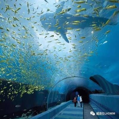 水族館干什么的：水族館是一個(gè)多功能的場所