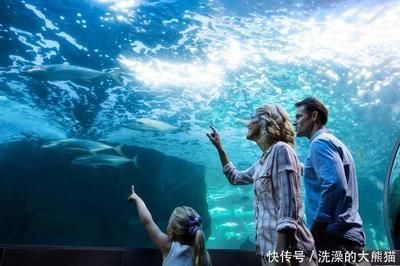 水族館干什么的：水族館是一個(gè)多功能的場所