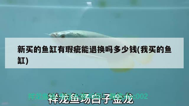 新買的魚缸有瑕疵能退換嗎多少錢(我買的魚缸) 新買的魚缸有瑕疵能退換嗎多少錢(我買的魚缸) 元寶鳳凰魚百科