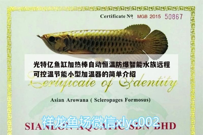 光特億魚缸加熱棒自動恒溫防爆智能水族遠程可控溫節能小型加溫器的簡單介紹 光特億魚缸加熱棒自動恒溫防爆智能水族遠程可控溫節能小型加溫器的簡單介紹 光特億