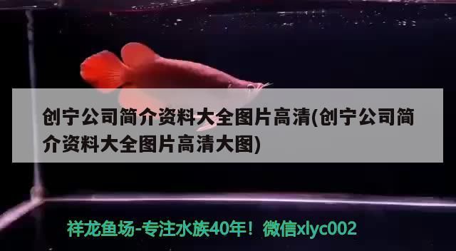 創寧公司簡介資料大全圖片高清(創寧公司簡介資料大全圖片高清大圖) 創寧公司簡介資料大全圖片高清(創寧公司簡介資料大全圖片高清大圖) 創寧水族