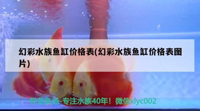 濱州魚(yú)缸維修哪家好啊電話地址（濱州魚(yú)缸維修哪家好啊電話地址及電話） 濱州魚(yú)缸維修哪家好啊電話地址（濱州魚(yú)缸維修哪家好啊電話地址及電話） 仟湖