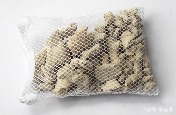 吉印刀鋒可以養(yǎng)水草嗎（吉印刀鋒能養(yǎng)水草嗎）