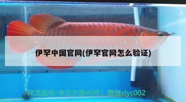 伊罕中國官網(wǎng)(伊罕官網(wǎng)怎么驗證)