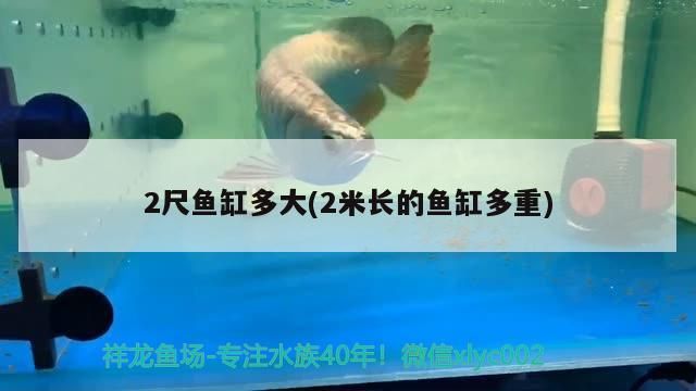 2尺魚缸多大(2米長的魚缸多重)