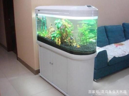 仟湖水泵和老魚匠水泵哪個好（仟湖水泵和老魚匠水泵哪個好用）