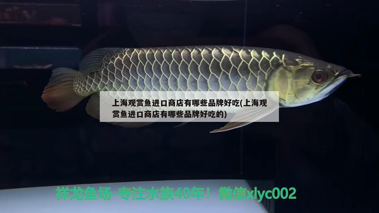 肥城賣魚缸的店鋪和電話是多少 肥城賣魚缸的店鋪和電話是多少啊 貝因美 第2張 肥城賣魚缸的店鋪和電話是多少 肥城賣魚缸的店鋪和電話是多少啊 肥城賣魚缸的店鋪和電話是多少 肥城賣魚缸的店鋪和電話是多少啊 貝因美 第2張
