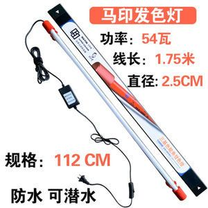 龍魚鰓蓋白點病的治療方法，如何治療龍魚鰓蓋白點病