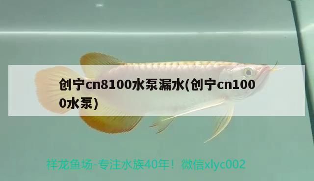 創寧cn8100水泵漏水(創寧cn1000水泵)