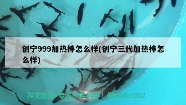 創寧999加熱棒怎么樣(創寧三代加熱棒怎么樣)