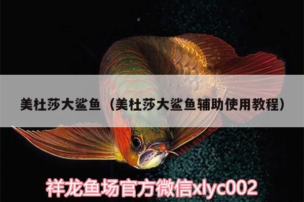 美杜莎大鯊魚（美杜莎大鯊魚輔助使用教程）