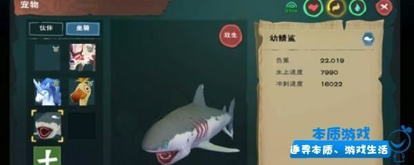寵物鯊魚多少錢一只（寵物鯊魚價格大小和市場需求不同，寵物鯊魚價格因素有所不同）