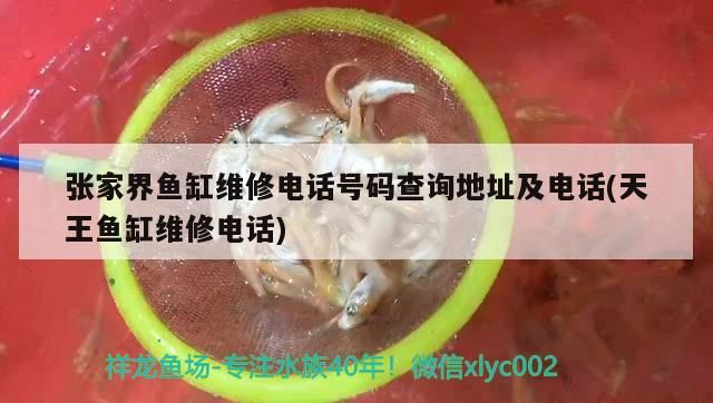張家界魚缸維修電話號碼查詢地址及電話(天王魚缸維修電話) 張家界魚缸維修電話號碼查詢地址及電話(天王魚缸維修電話) 九鼎魚缸