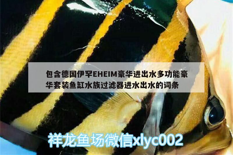 包含德國(guó)伊罕EHEIM豪華進(jìn)出水多功能豪華套裝魚(yú)缸水族過(guò)濾器進(jìn)水出水的詞條
