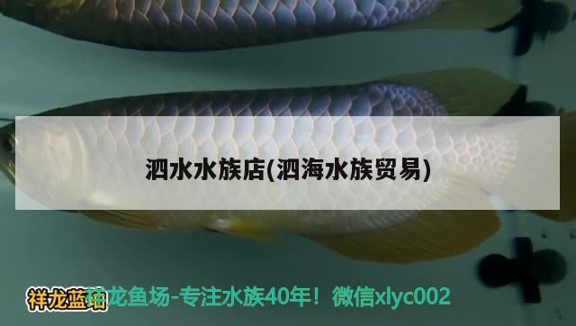 泗水水族店(泗海水族貿易)