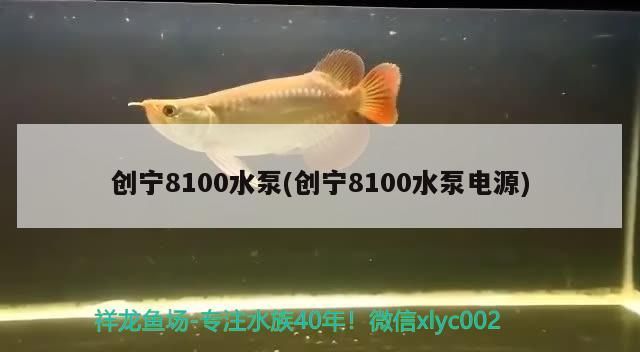 創寧8100水泵(創寧8100水泵電源)
