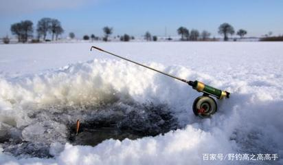 中國鱘龍魚養(yǎng)殖基地：珍稀瑰寶，中國鱘龍魚的神秘世界與守護之路