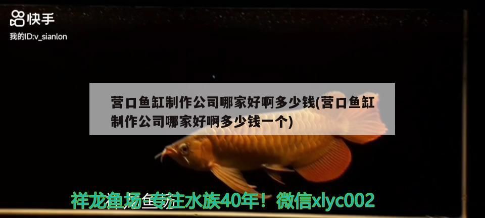 營口魚缸制作公司哪家好啊多少錢(營口魚缸制作公司哪家好啊多少錢一個(gè))
