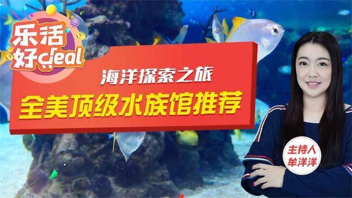 水族館開(kāi)在什么地方合適一點(diǎn)：選擇合適的水族館開(kāi)設(shè)地點(diǎn)