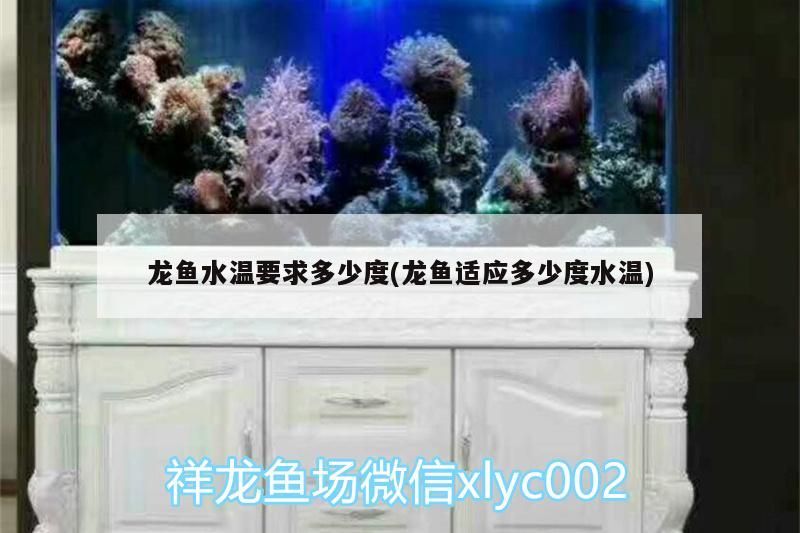 龍魚(yú)水溫要求多少度(龍魚(yú)適應(yīng)多少度水溫)