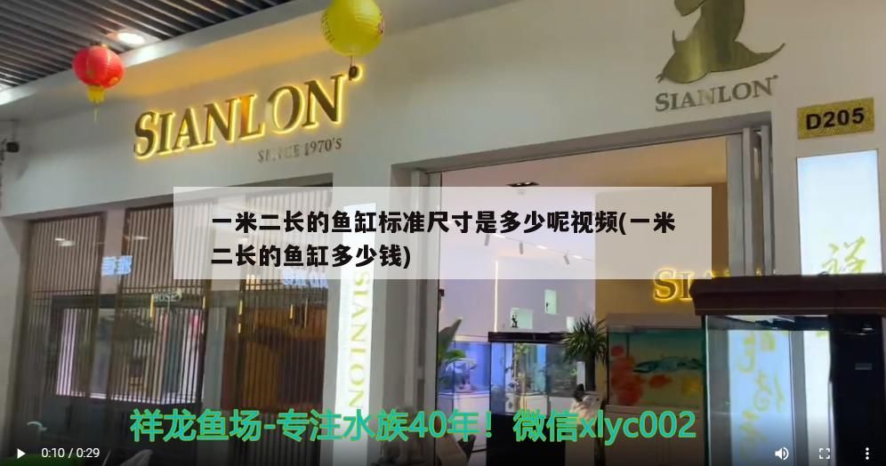 一米二長的魚缸標準尺寸是多少呢視頻(一米二長的魚缸多少錢)