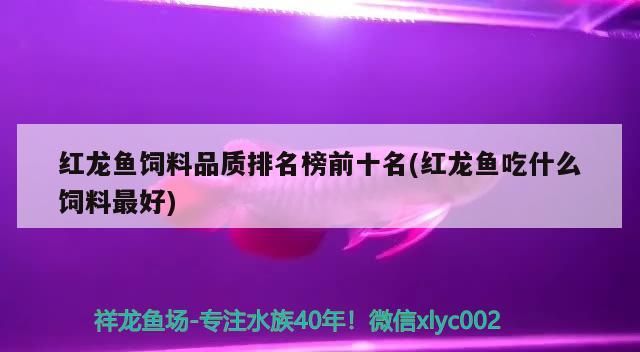 吉印魚缸燈怎么加長(吉印魚缸燈哪個(gè)系列好) 吉印水族 第3張 吉印魚缸燈怎么加長(吉印魚缸燈哪個(gè)系列好) 吉印魚缸燈怎么加長(吉印魚缸燈哪個(gè)系列好) 吉印水族 第3張