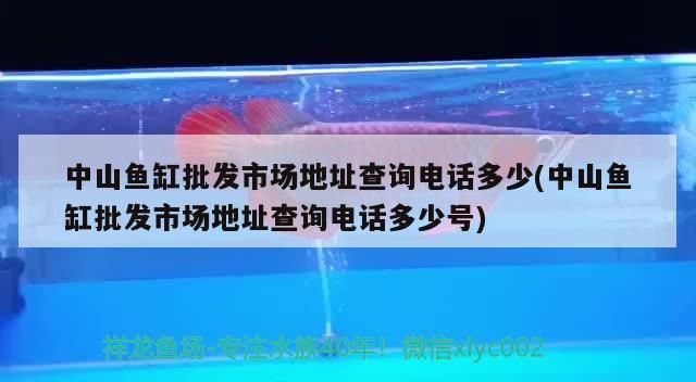 <strong><mark>中山</mark></strong>魚缸批發(fā)市場(chǎng)地址查詢電話多少(<strong><mark>中山</mark></strong>魚缸批發(fā)市場(chǎng)地址查詢電話多少號(hào))