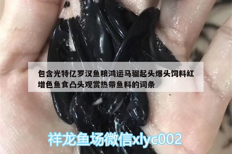 包含光特億羅漢魚糧鴻運(yùn)馬騮起頭爆頭飼料紅增色魚食凸頭觀賞熱帶魚料的詞條