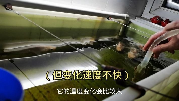 光特億水泵靜音怎么樣好用嗎（光特億水泵靜音怎么樣好用嗎視頻）