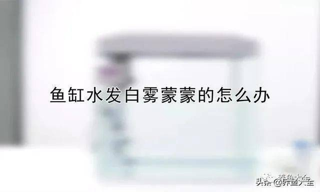 龍魚干蝦有營(yíng)養(yǎng)嗎 伊罕250過(guò)濾桶濾材順序(伊罕250過(guò)濾桶安裝圖解) 伊罕水族 伊罕250過(guò)濾桶濾材順序(伊罕250過(guò)濾桶安裝圖解) 伊罕250過(guò)濾桶濾材順序(伊罕250過(guò)濾桶安裝圖解) 伊罕水族