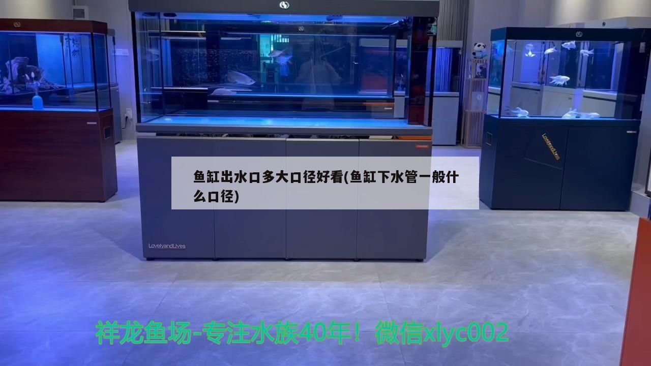 魚缸出水口多大口徑好看(魚缸下水管一般什么口徑)