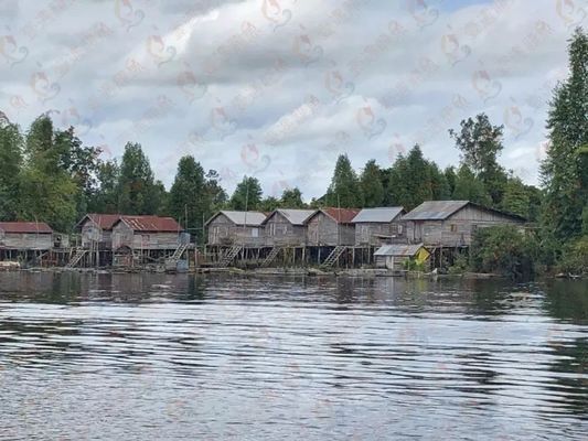 印尼大湖魚一般產自哪個湖里：印尼大湖紅龍魚的產地